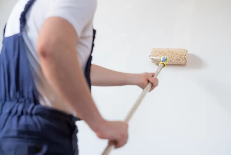 Primer Application for painting walls